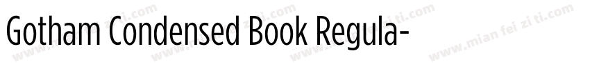 Gotham Condensed Book Regula字体转换